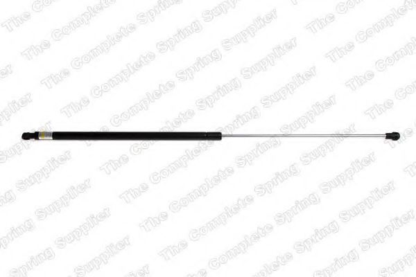 GS0553 Amortizor capota ROC 