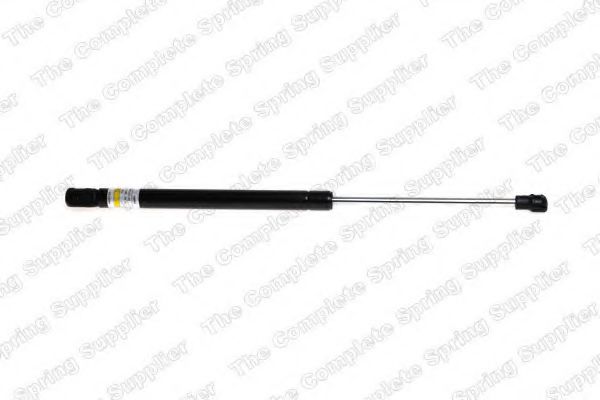 GS0920 Amortizor capota ROC 