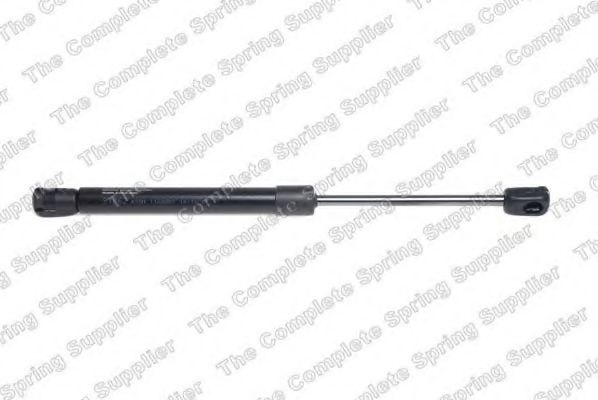 GS1629 Amortizor capota ROC 