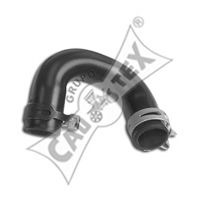 031342 Furtun radiator CAUTEX 