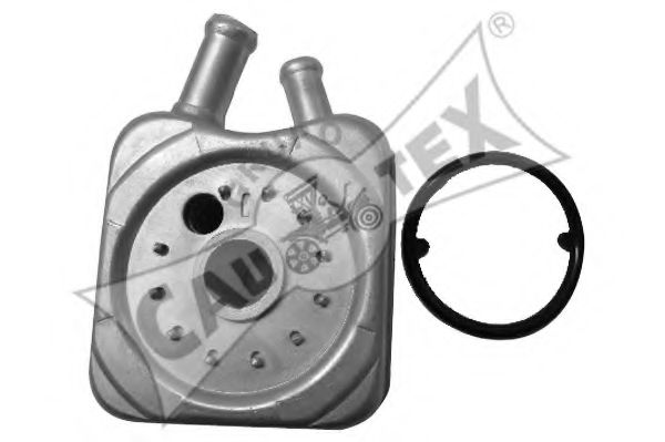 462419 Radiator ulei, ulei motor CAUTEX 