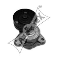 480914 intinzator,curea transmisie CAUTEX 