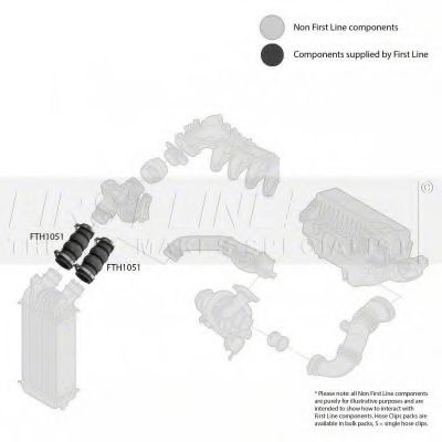 Furtun ear supraalimentare 2