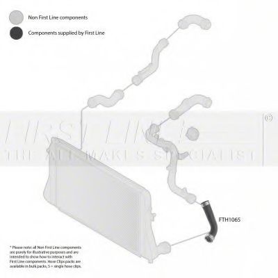 Furtun ear supraalimentare 2