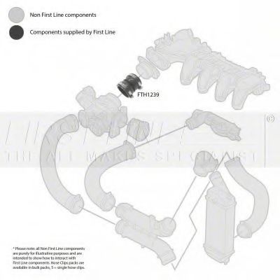 Furtun ear supraalimentare 2