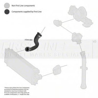 Furtun ear supraalimentare 2