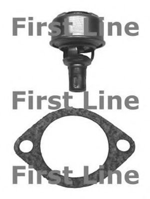 termostat,lichid racire