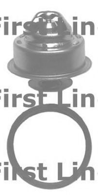 termostat,lichid racire