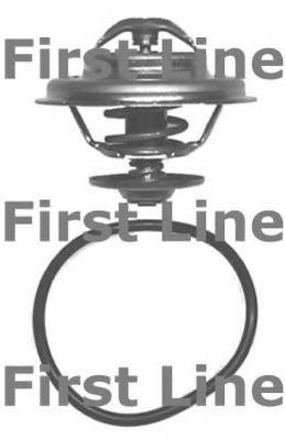 termostat,lichid racire