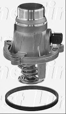 termostat,lichid racire