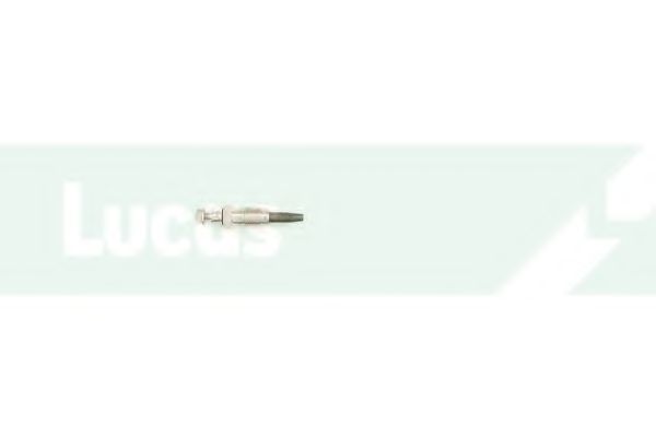 Bujie incandescenta 2
