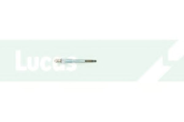 Bujie incandescenta 2