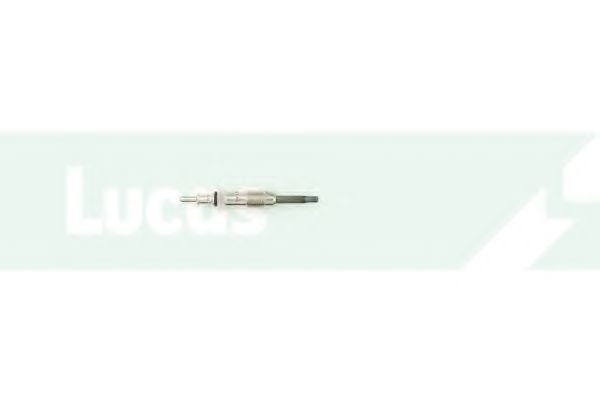 Bujie incandescenta 2