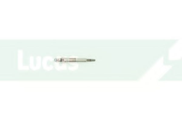 Bujie incandescenta 2