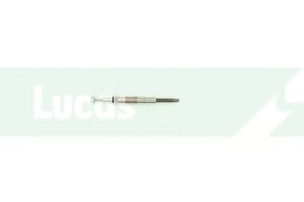 Bujie incandescenta 2