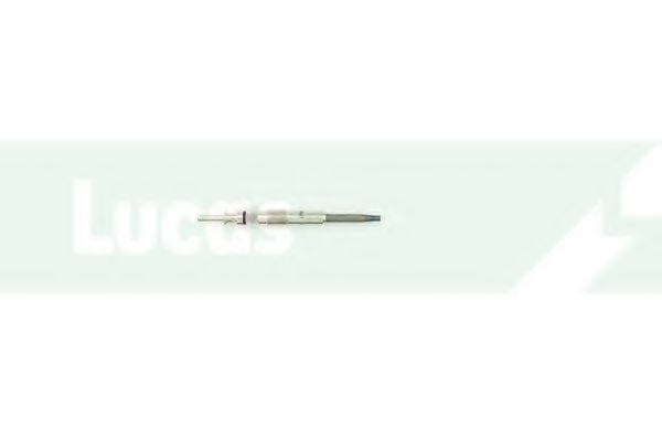Bujie incandescenta 2