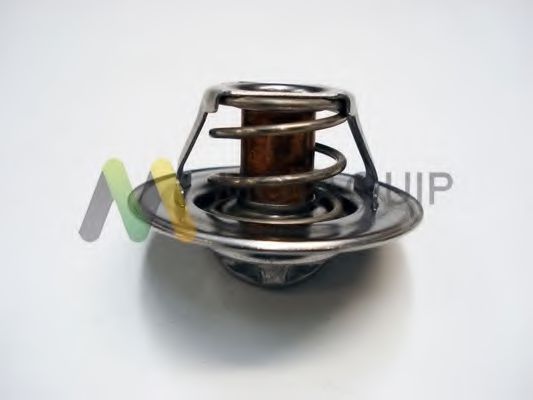 termostat,lichid racire 2