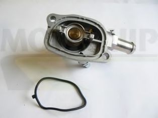 termostat,lichid racire
