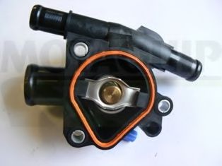 termostat,lichid racire 2