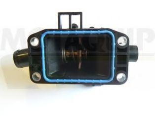 termostat,lichid racire 2