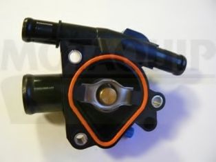 termostat,lichid racire 2