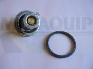 termostat,lichid racire 2