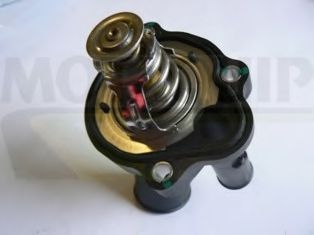 termostat,lichid racire 2