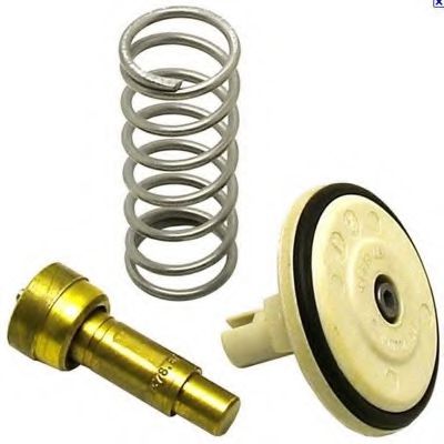 termostat,lichid racire