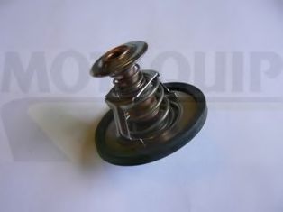 termostat,lichid racire 2