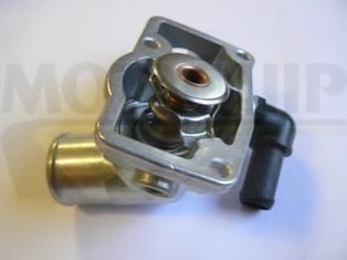termostat,lichid racire 2