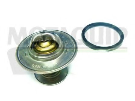 termostat,lichid racire