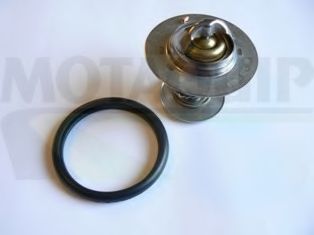 termostat,lichid racire