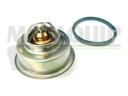 termostat,lichid racire