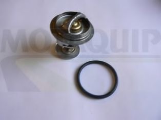 termostat,lichid racire 2