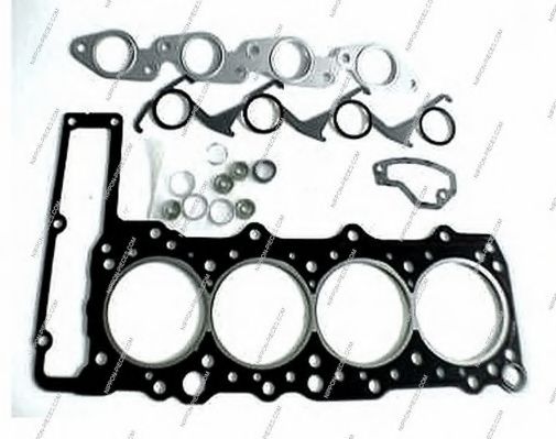 S124G01 Set garnituri, chiulasa NPS 