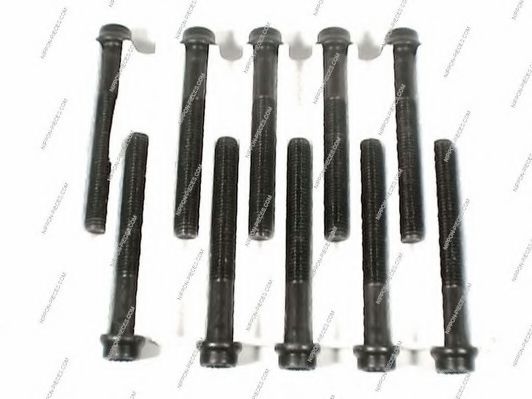 S128G01 Set surub, chiulasa NPS 