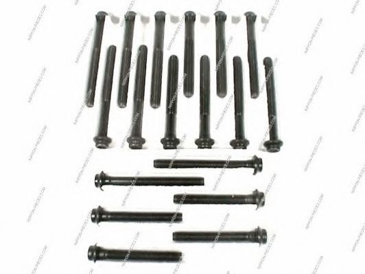 S128G03 Set surub, chiulasa NPS 