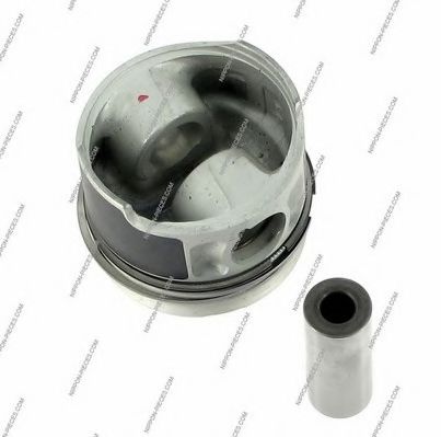 S901G02 Piston NPS 