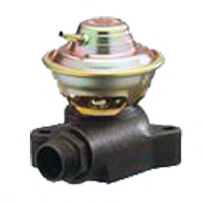 Supapa EGR