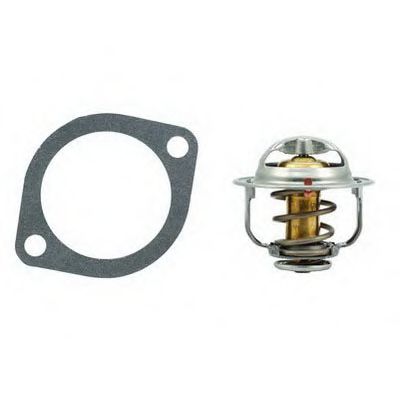 termostat,lichid racire