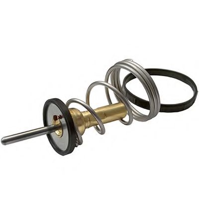 termostat,lichid racire