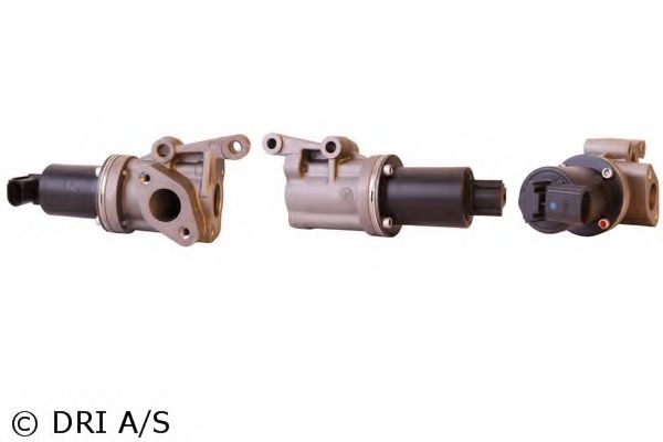 717720114 Supapa EGR DRI 