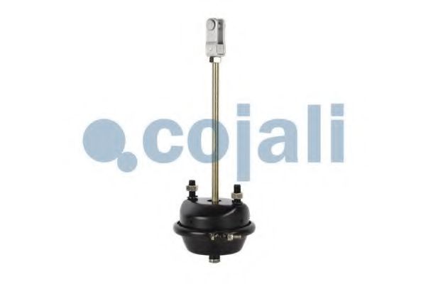 Cilindru receptor frana cu membrana 2