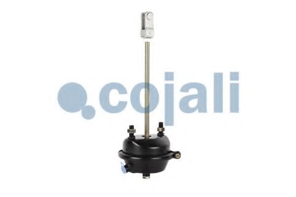 Cilindru receptor frana cu membrana 3