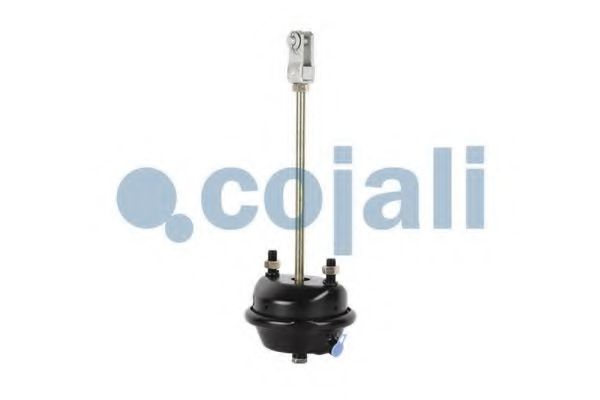 Cilindru receptor frana cu membrana 4