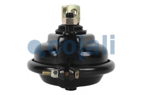 Cilindru receptor frana cu membrana 2