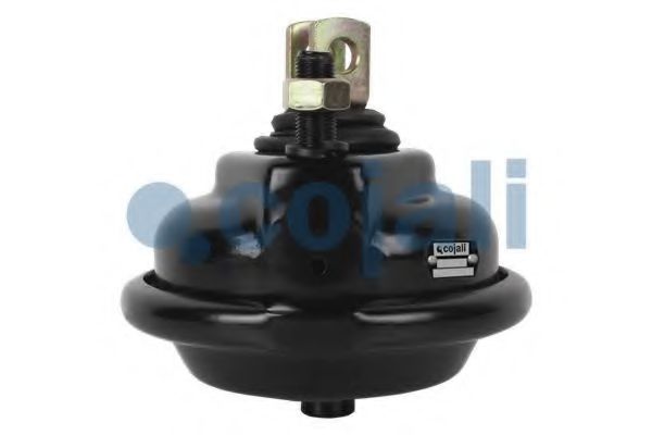 Cilindru receptor frana cu membrana 4