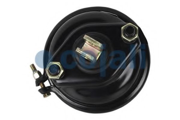 Cilindru receptor frana cu membrana 5