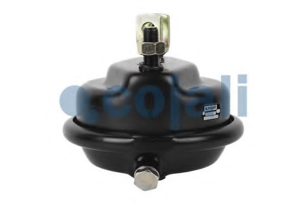 Cilindru receptor frana cu membrana 2