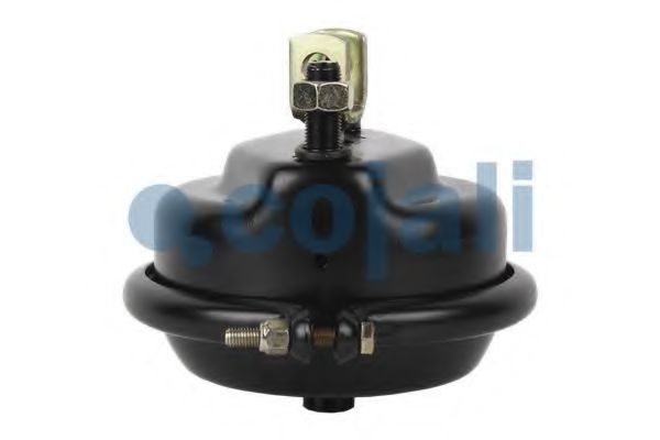 Cilindru receptor frana cu membrana 4